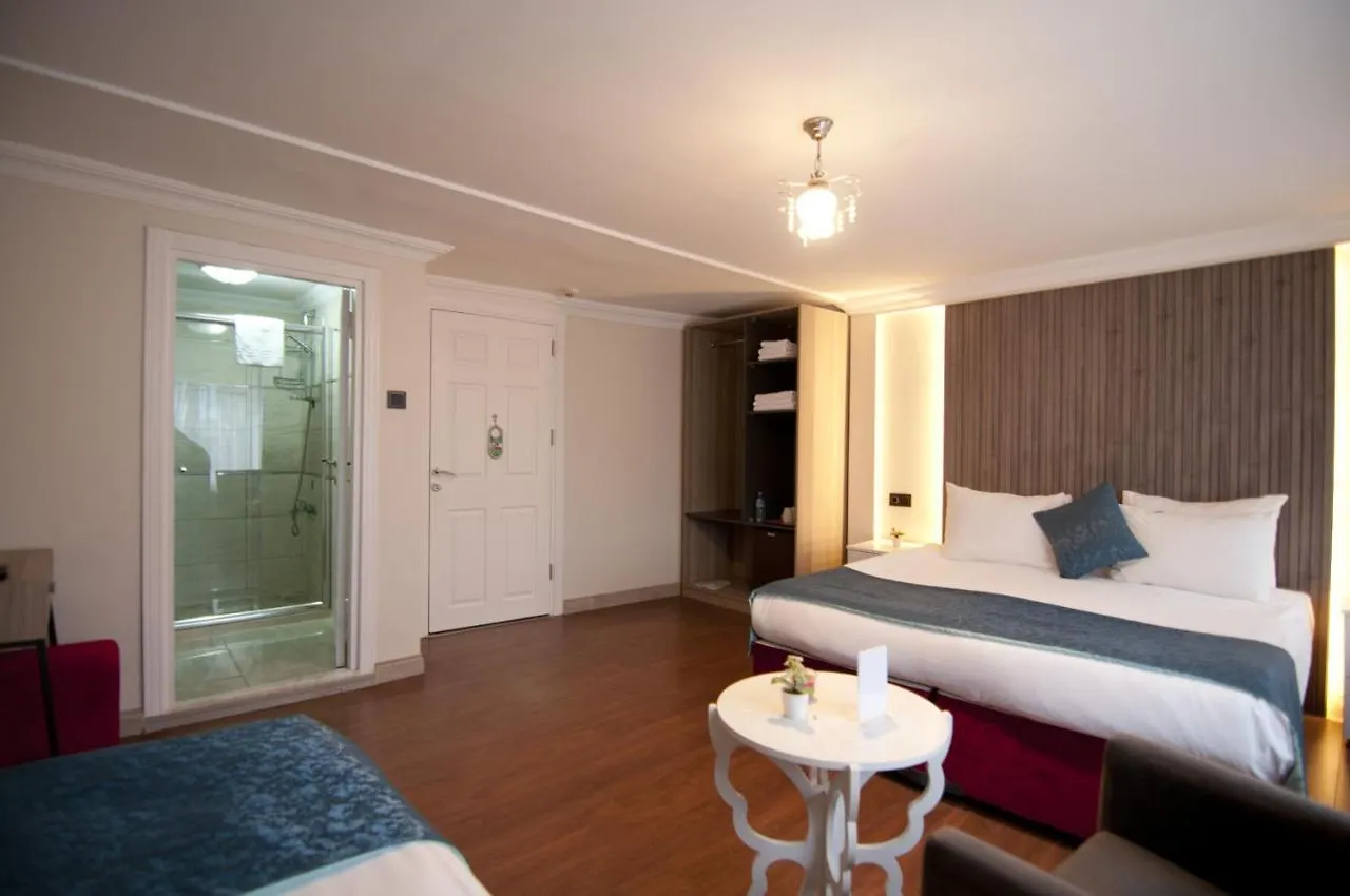 Genius Hotel Istanbul 2*,  Turkey